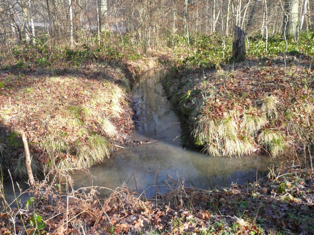 P1280452 [Résolution de l'écran]